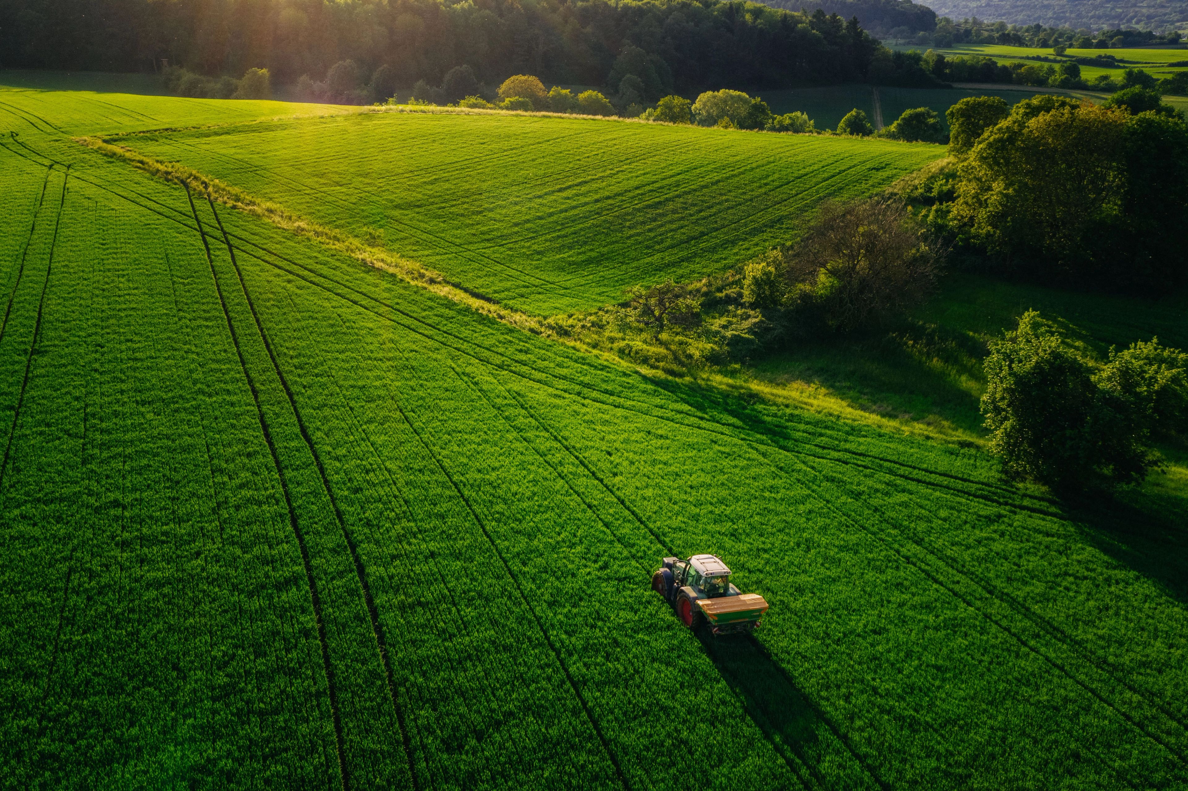 Rural lifestyle retailer